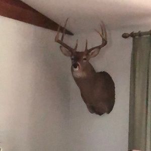 Meet your Posher, Greg